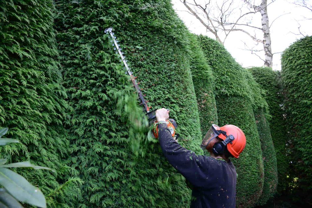 tree surgeon wilmslow
