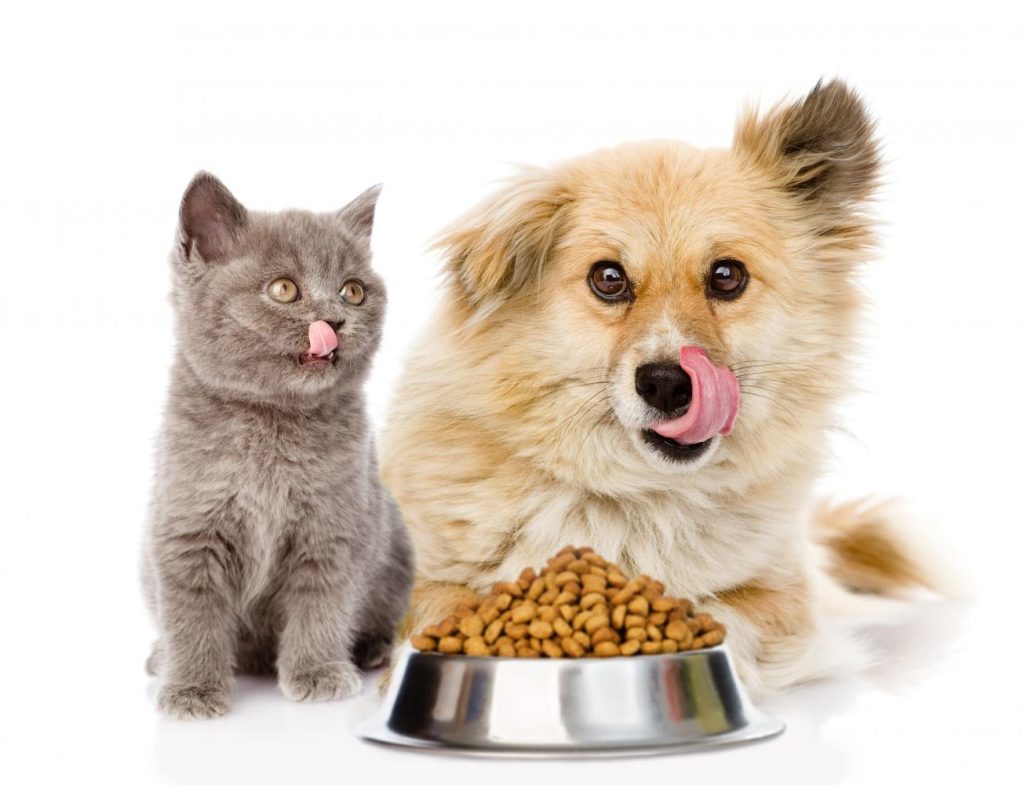 Pet Food Reviews